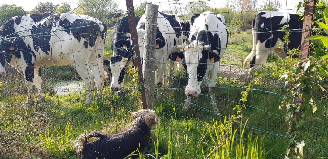 Photo of Others in Moyenneville