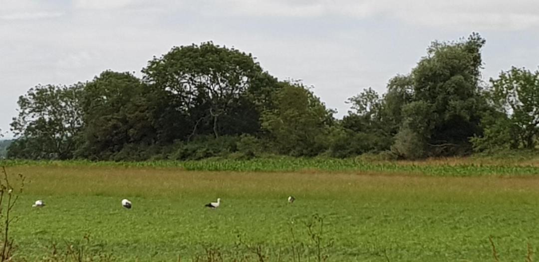 Photo of Others in Moyenneville