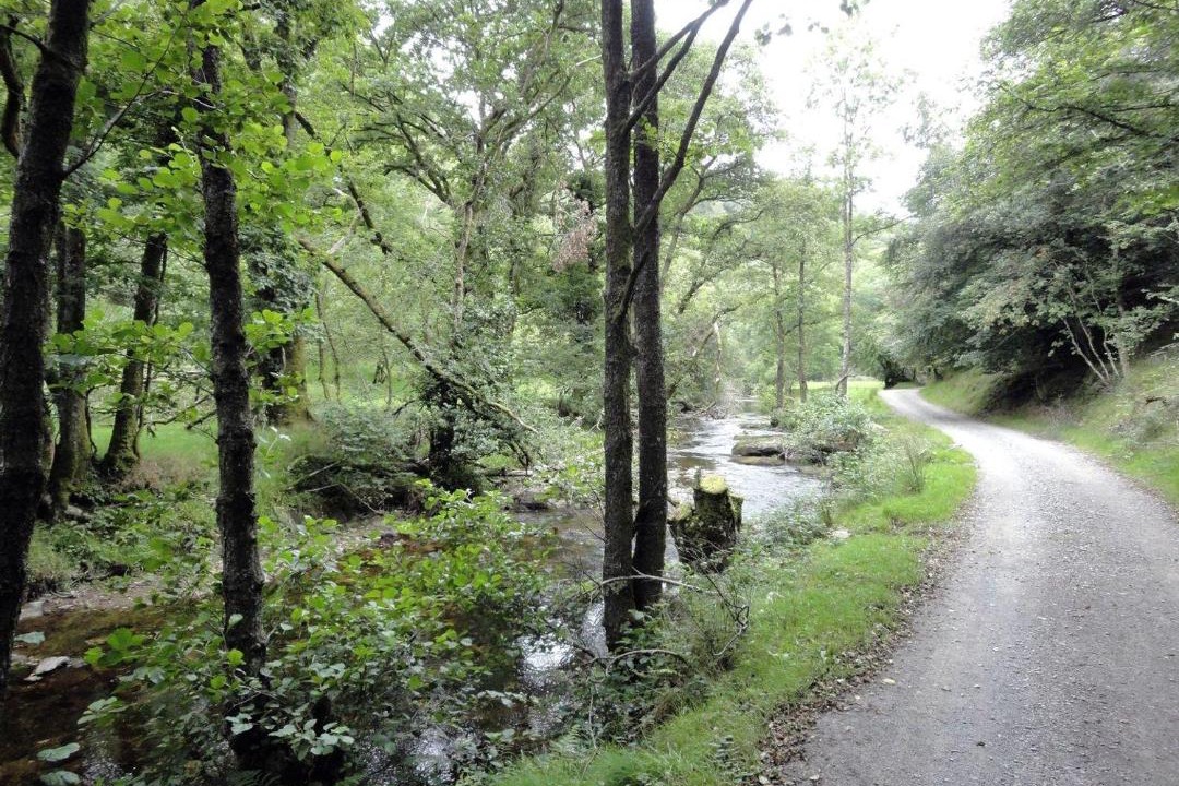 Photo of Others in Exmoor National Park