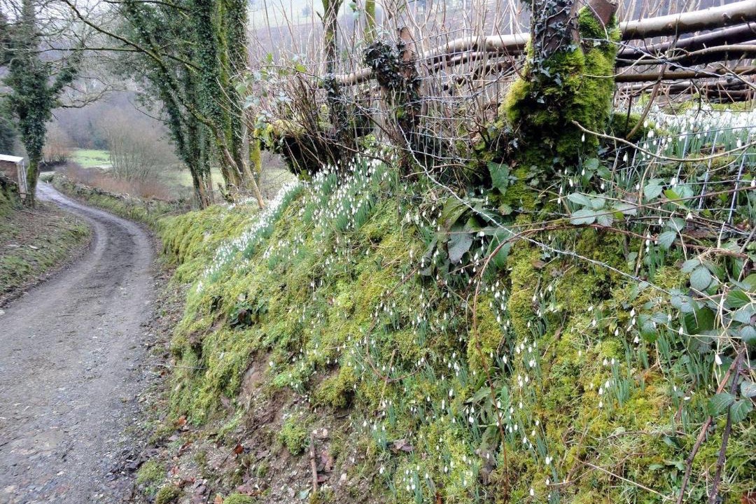 Photo of Others in Exmoor National Park