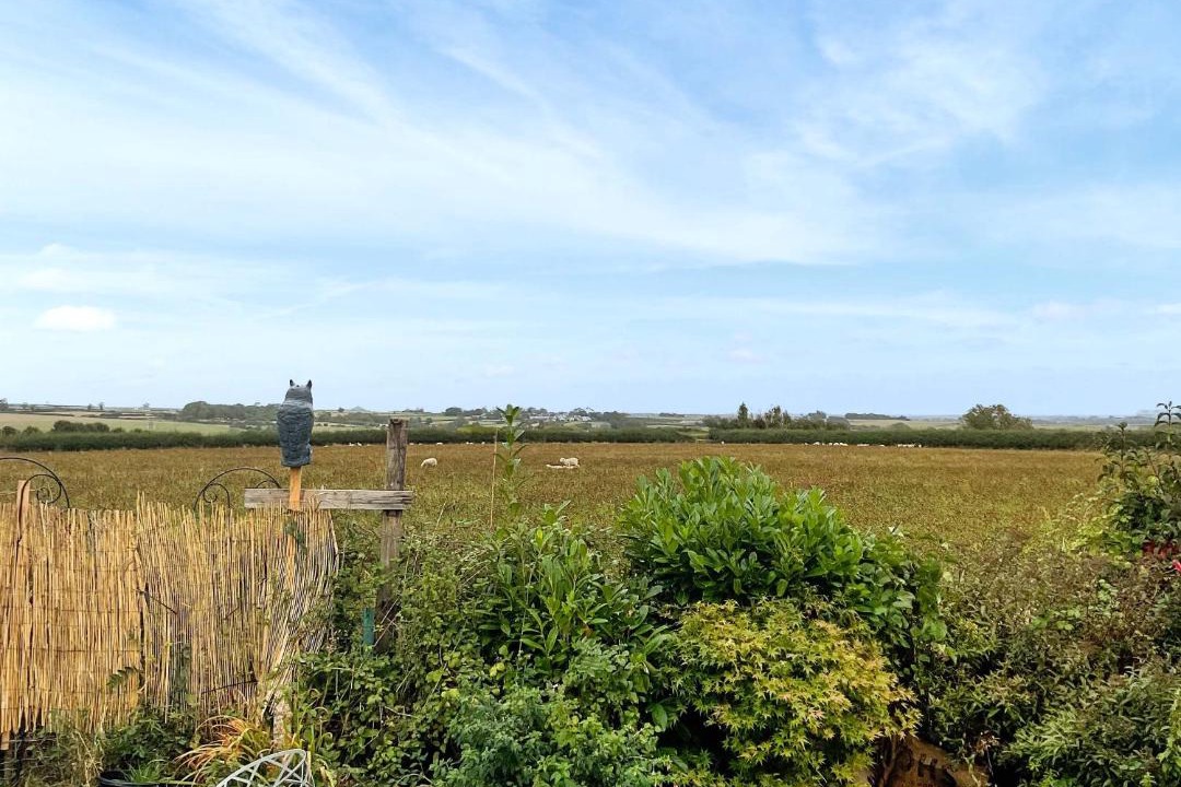 Photo of Others in Flemingston