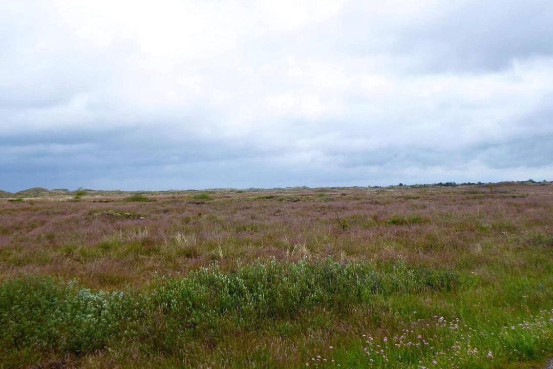 Photo of Others in Nordstrand