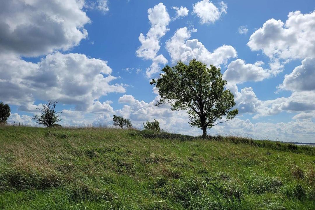 Photo of Others in Olsted