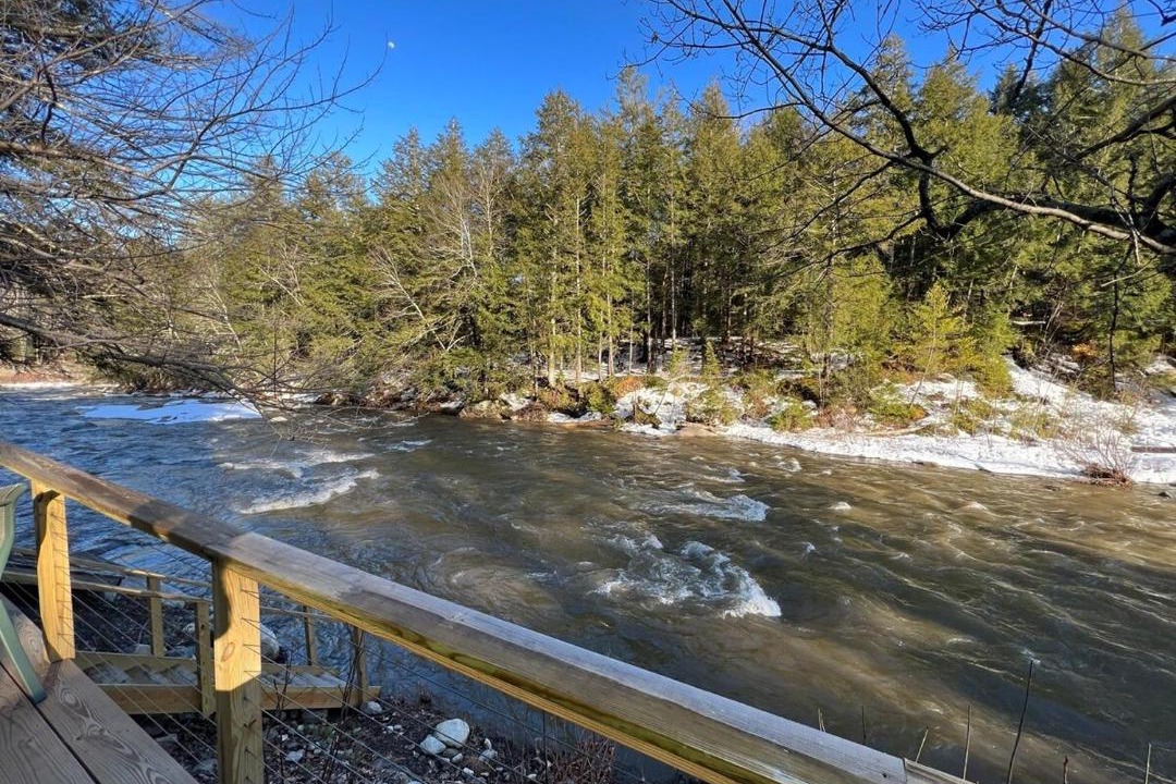 Photo of Others in East Jamaica