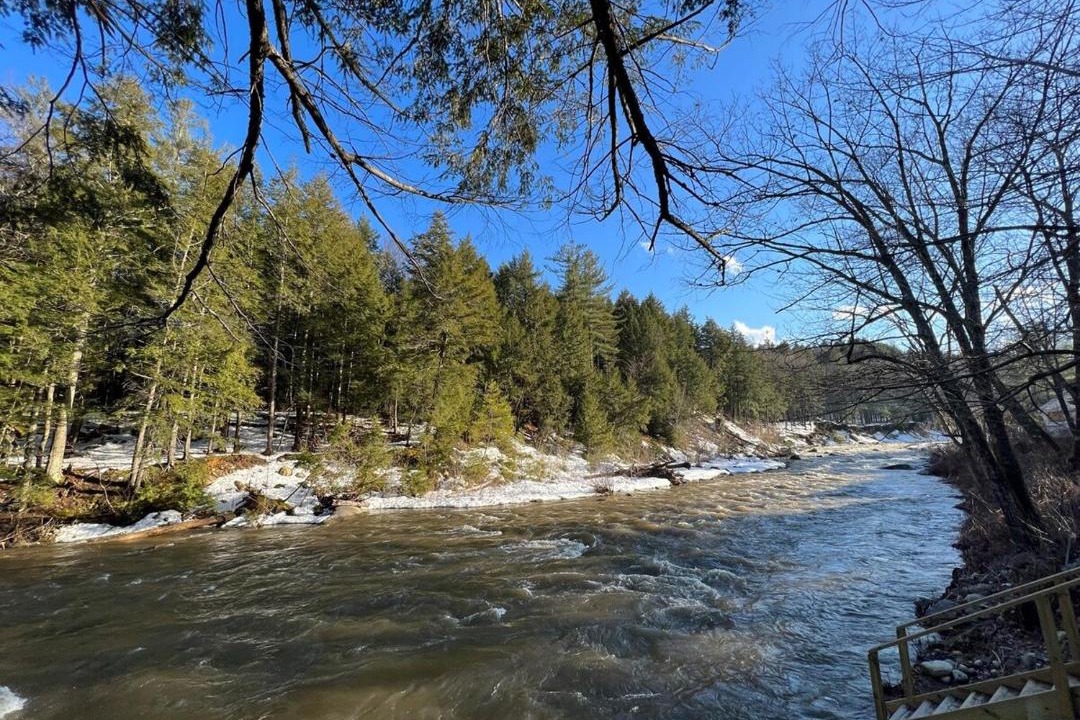 Photo of Others in East Jamaica