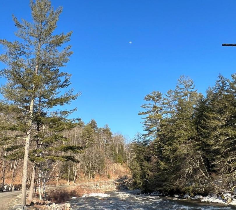 Photo of Others in East Jamaica