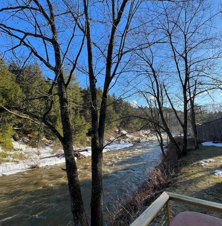 Photo of Others in East Jamaica