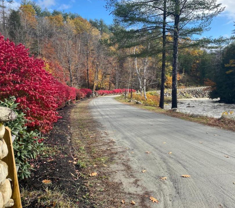 Photo of Others in East Jamaica