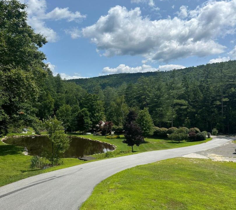 Photo of Others in East Jamaica