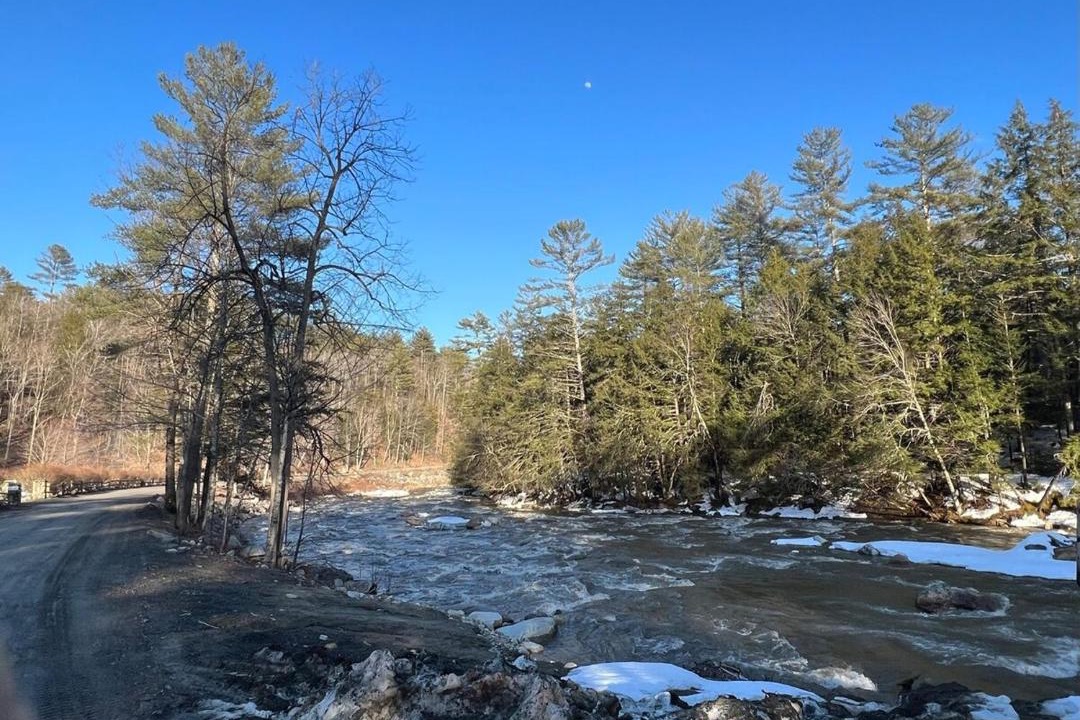 Photo of Others in East Jamaica