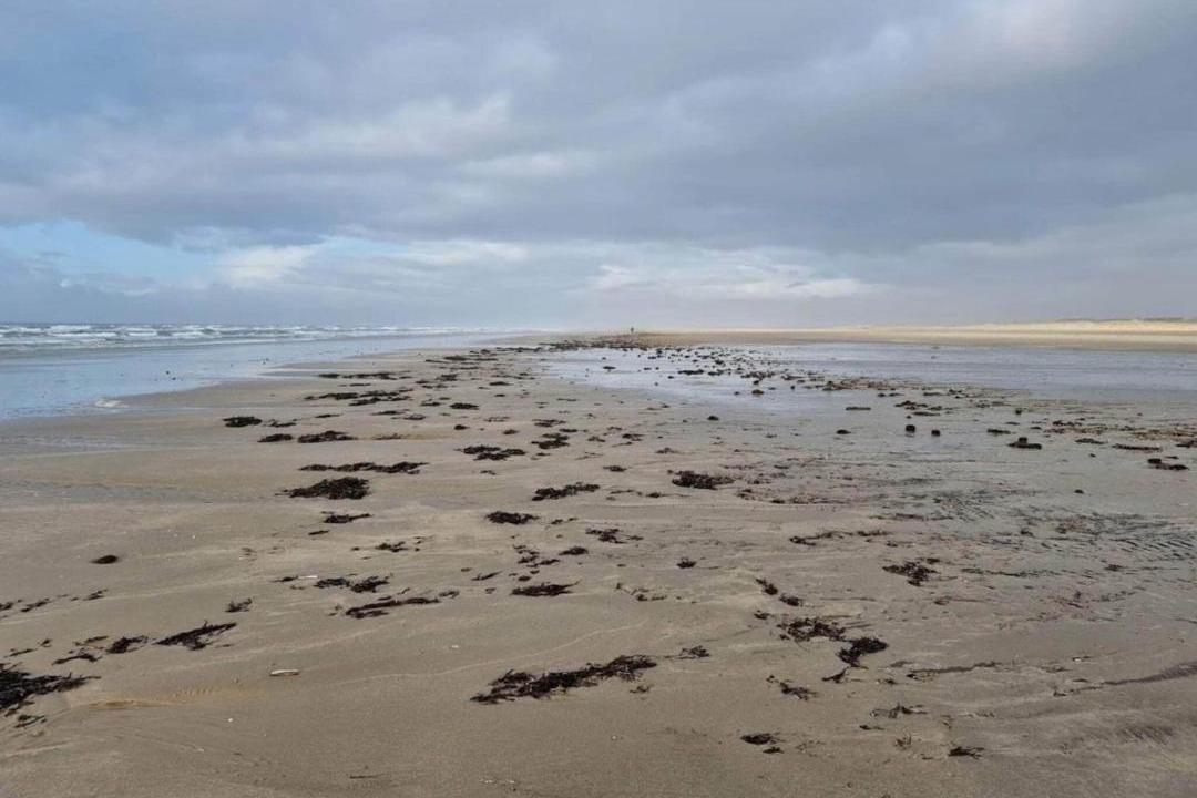 Photo of Others in Rindby Strand