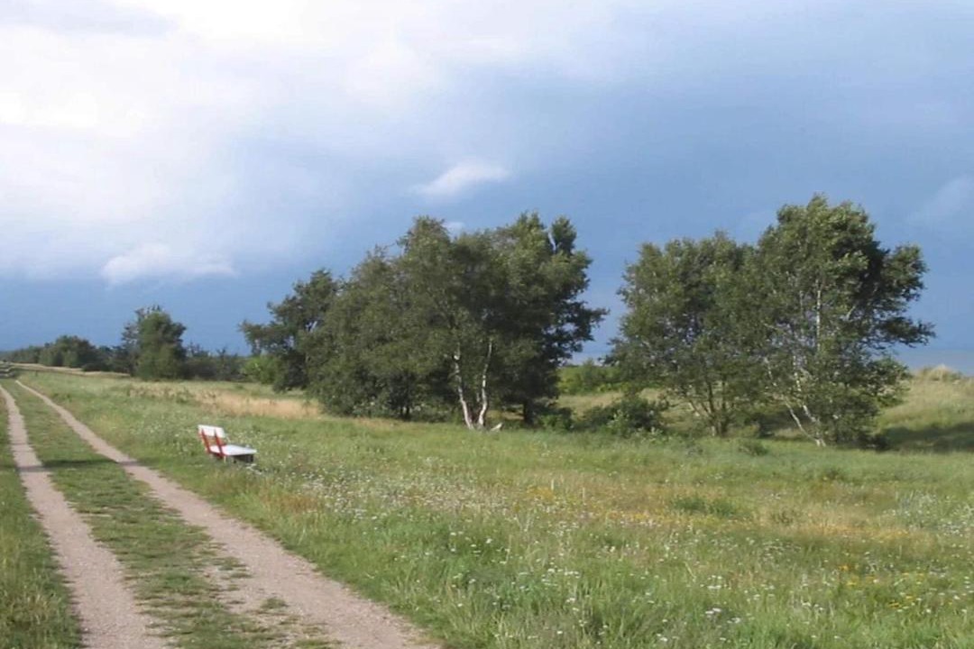 Photo of Others in Marielyst