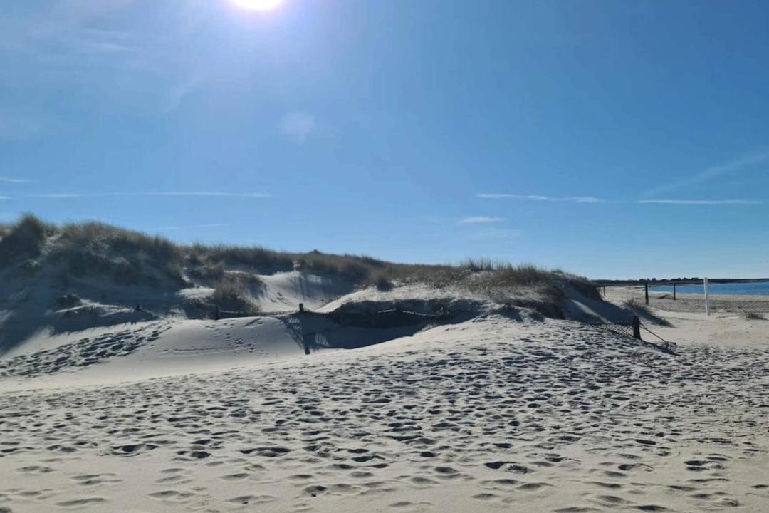 Photo of Others in Læsø