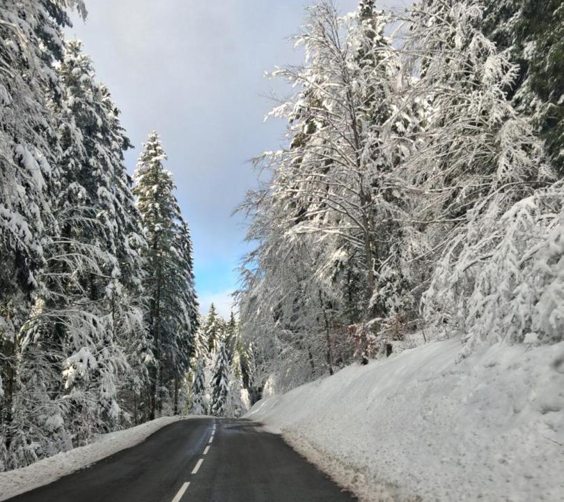 Photo of Others in Chatillon-en-Michaille