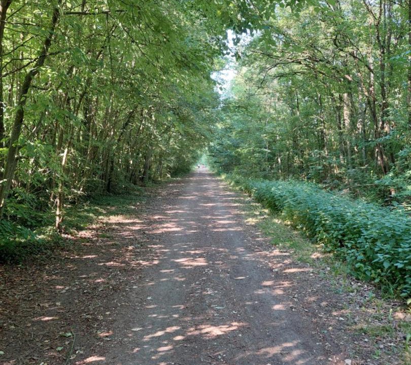 Photo of Outdoor in Laquenexy