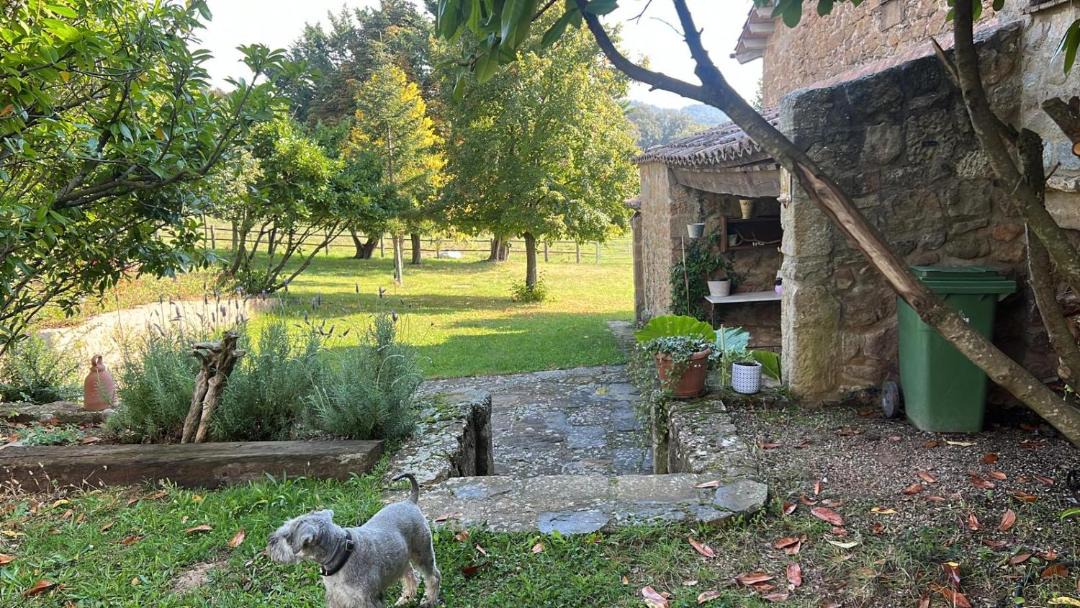 Photo of Others in Lladurs