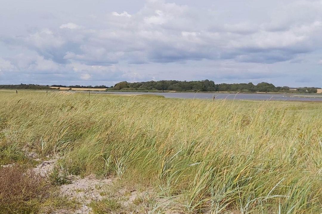 Photo of Others in Næs