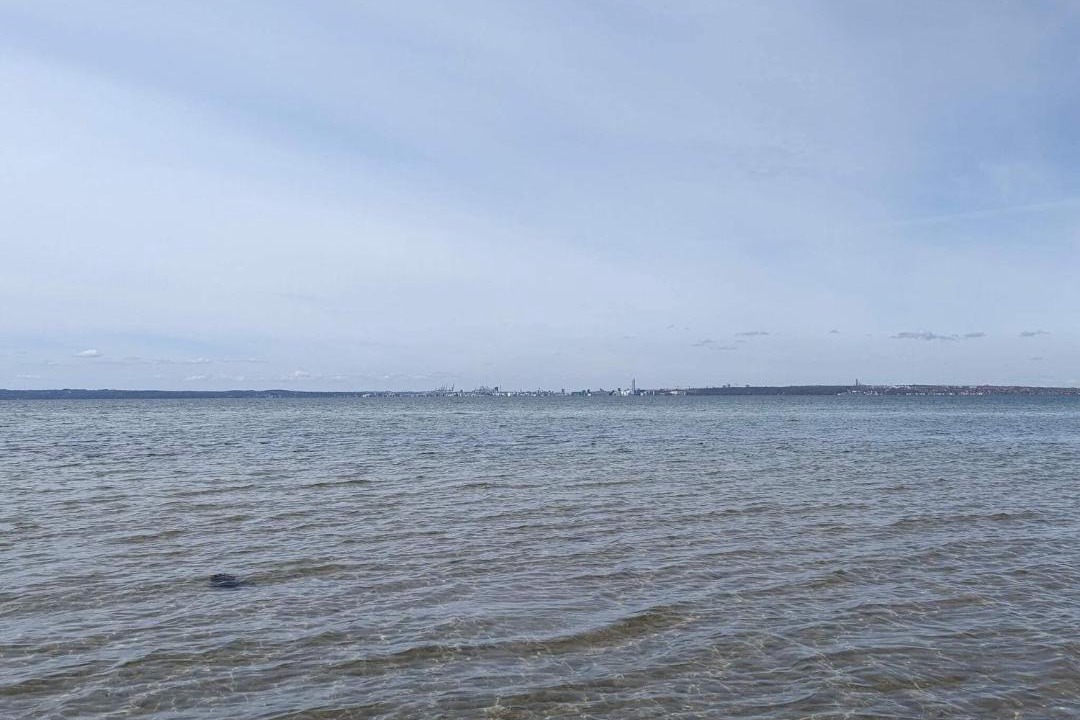 Photo of Others in Skødshoved Strand