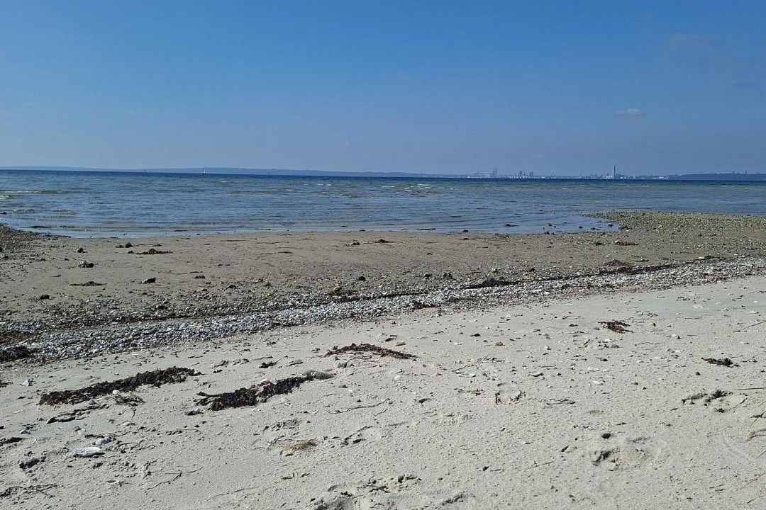 Photo of Others in Skødshoved Strand