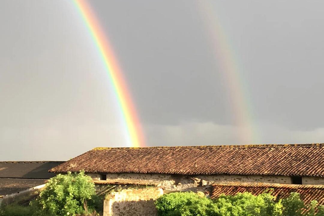 Photo of Others in Sanxay