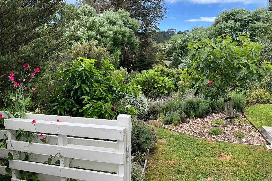 Photo of Others in Matakana