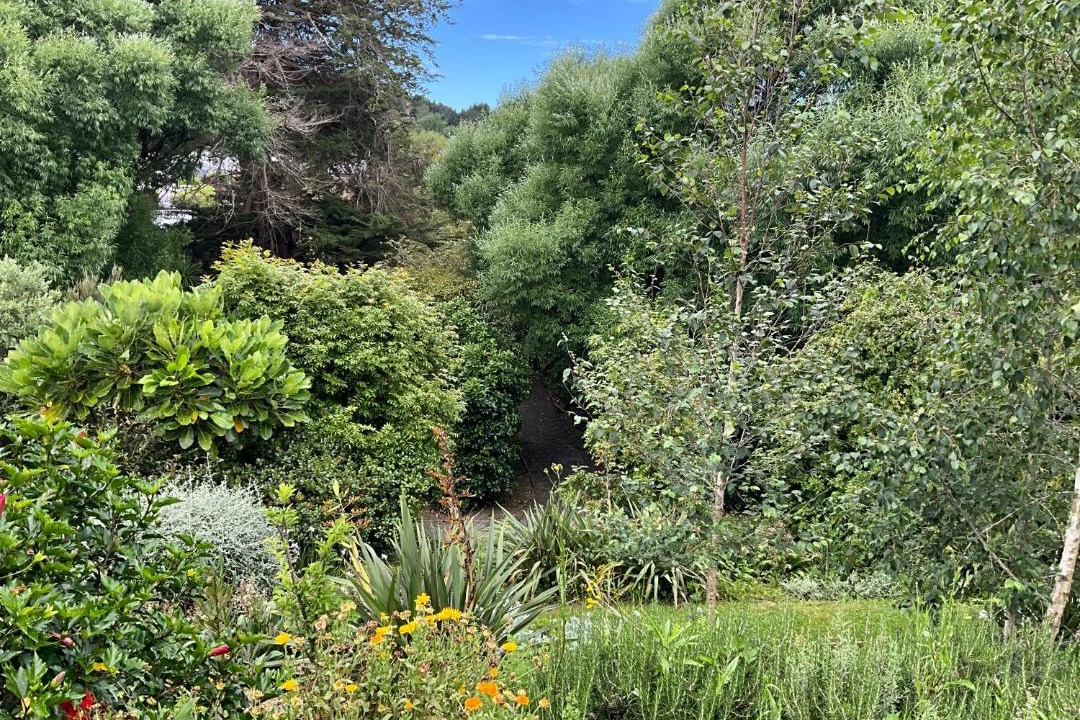 Photo of Others in Matakana