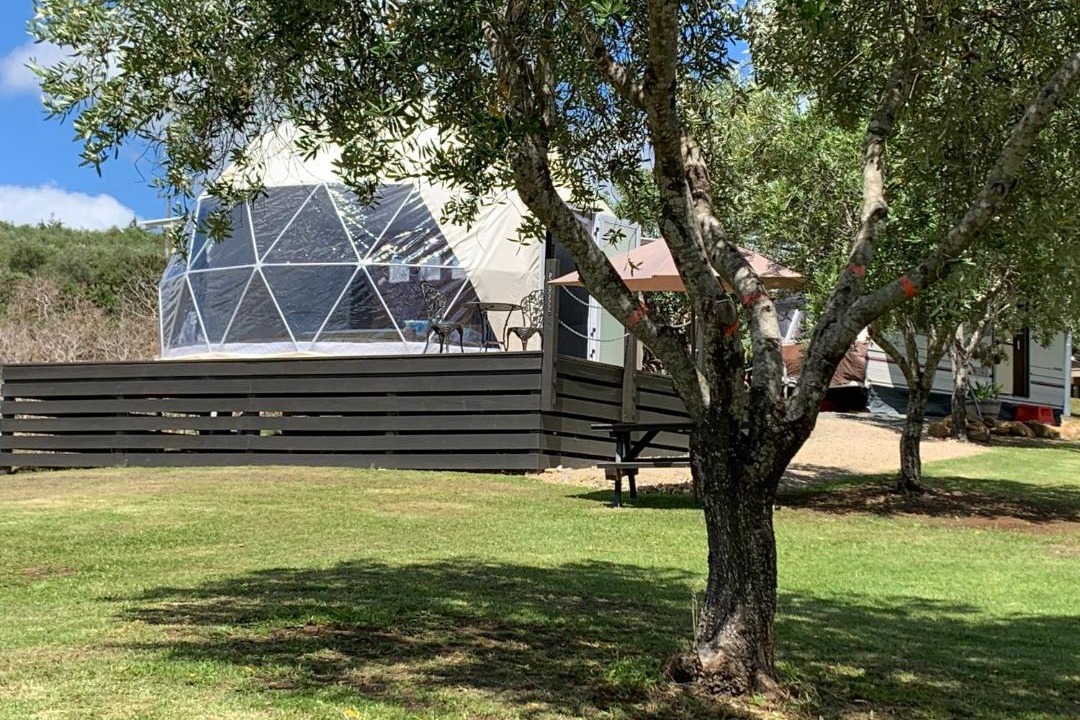 Photo of Others in Mangonui