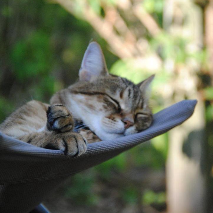 Photo of Others in Montmorillon