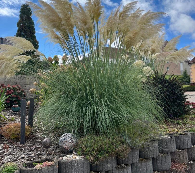 Photo of Others in Montbronn