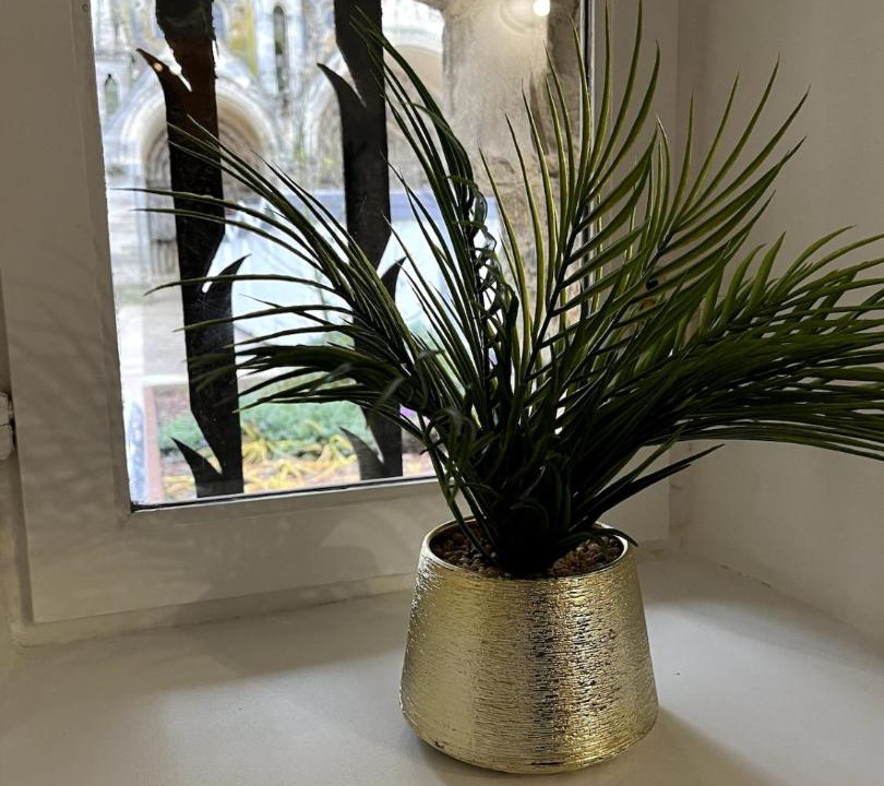 Photo of Others in Laon