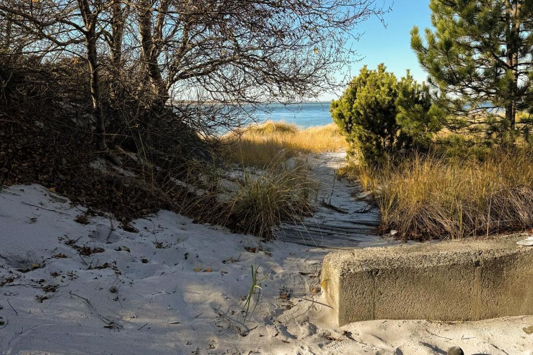 Photo of Others in Prides Crossing