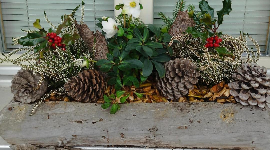 Photo of Others in Charancieu