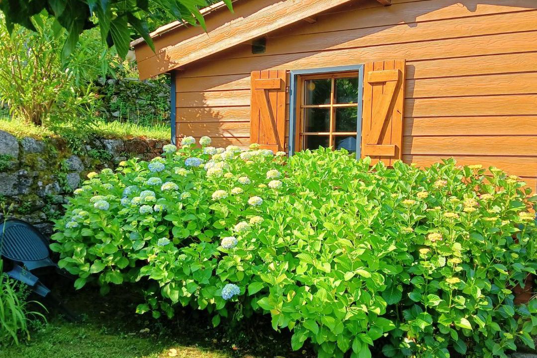 Photo of Others in Zicavo