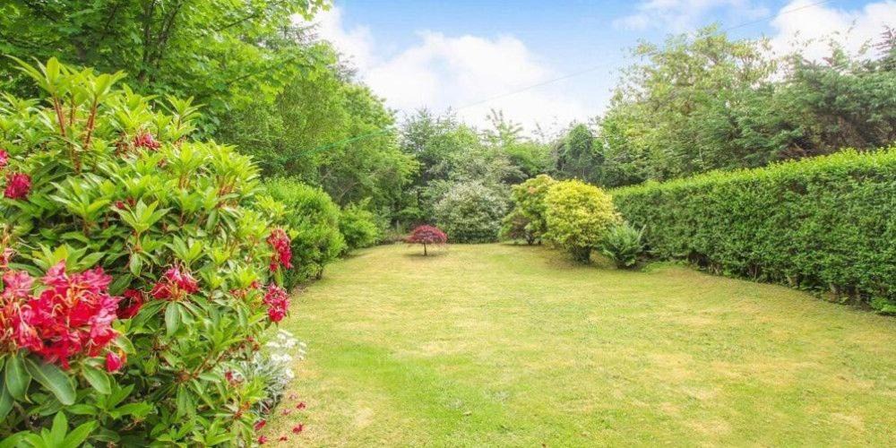 Photo of Others in Connel