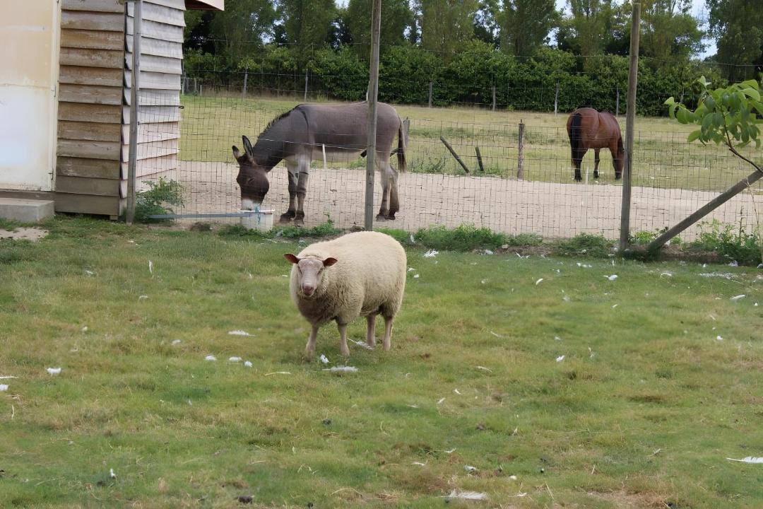 Photo of Others in Landemont