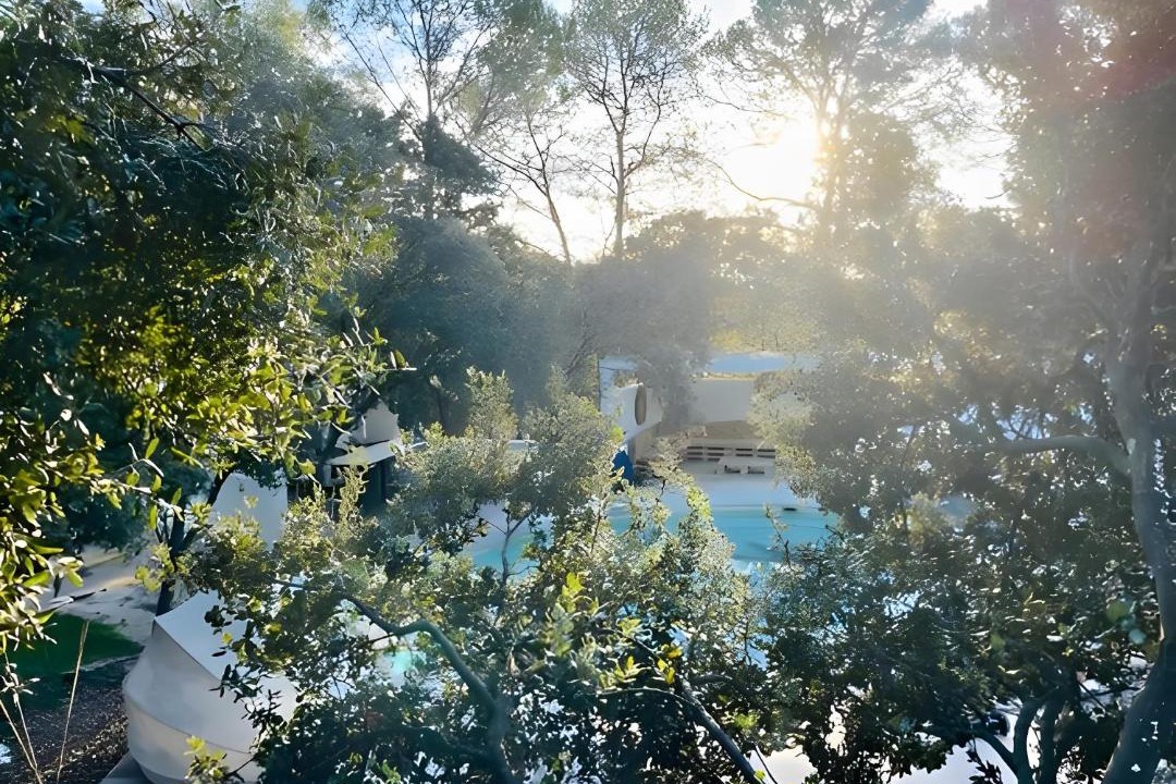 Photo of Others in Favas