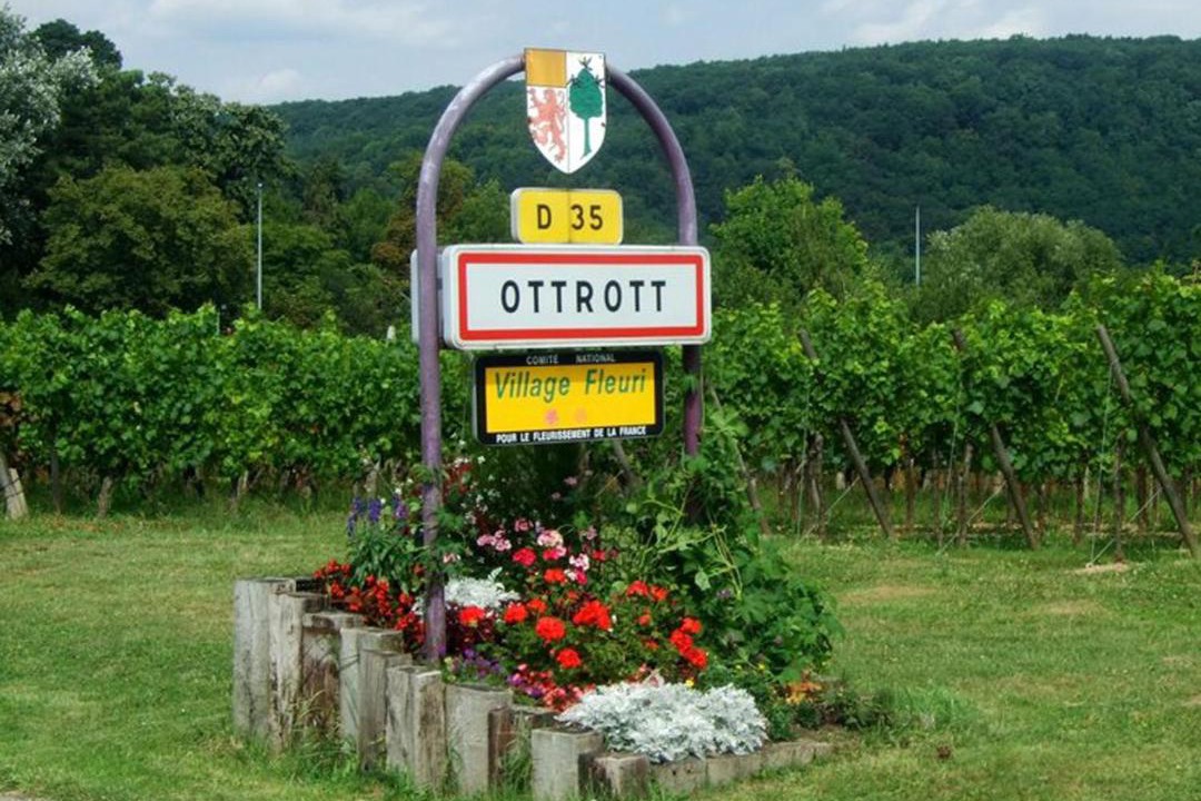 Photo of Buildings in Ottrott