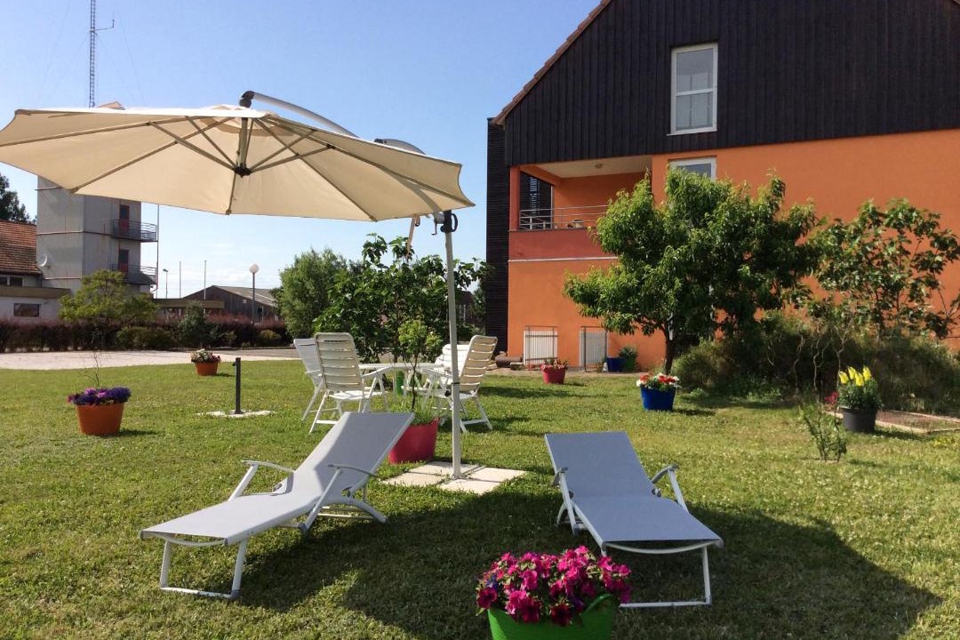 Photo of Others in Seltz