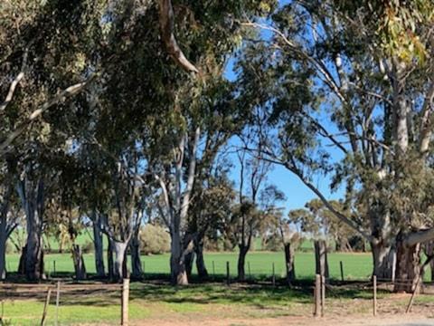 Photo of Others in Upper Wakefield