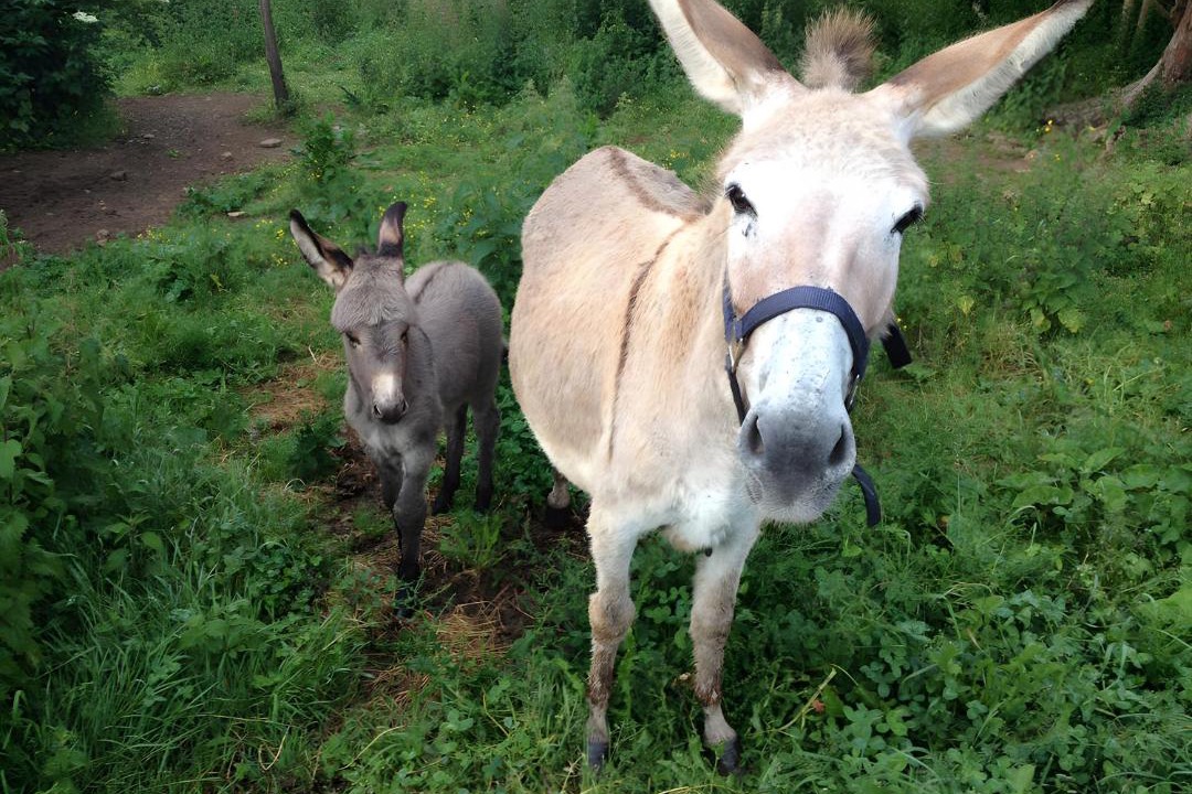 Photo of Others in Sanxay