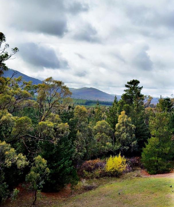 Photo of Others in Macedon