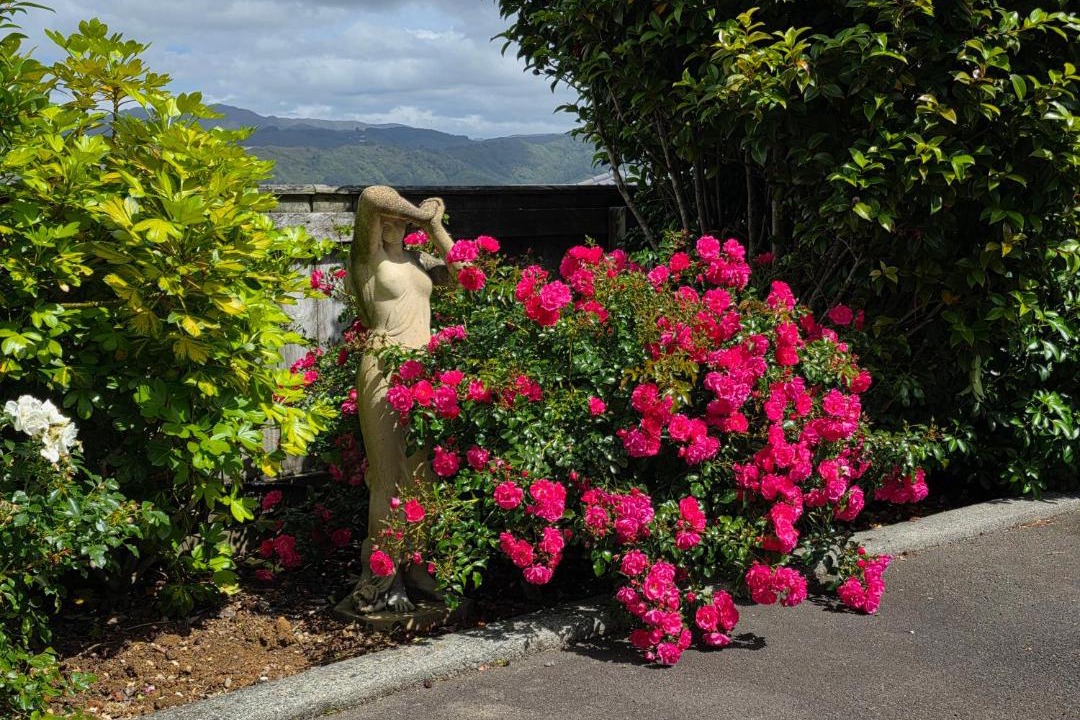 Photo of Others in Trentham