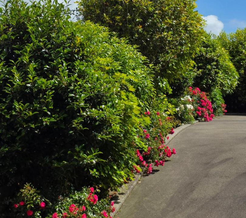 Photo of Others in Trentham