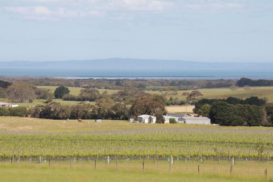 Photo of Others in Drysdale