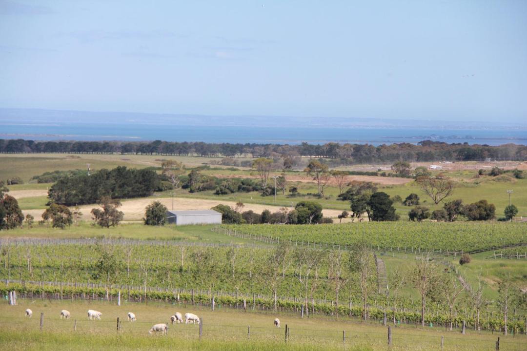 Photo of Others in Drysdale