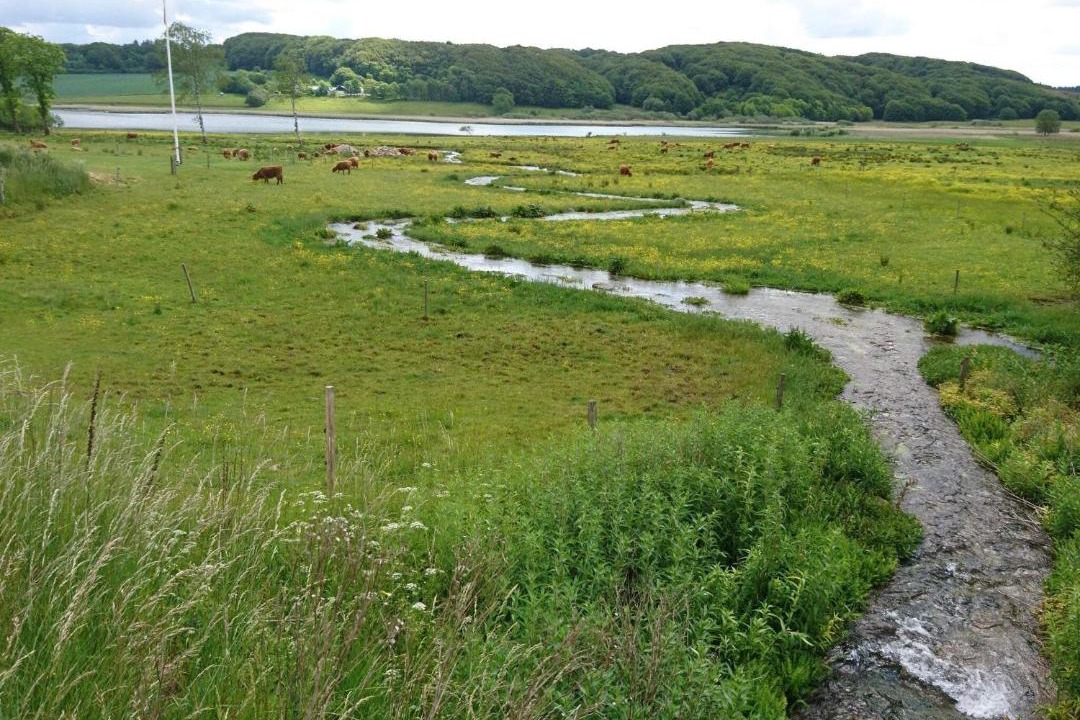 Photo of Others in Vester Grønning