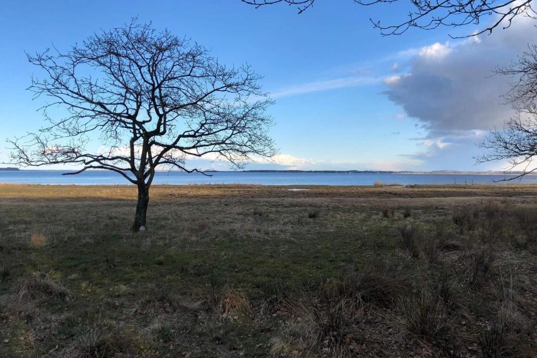 Photo of Others in Vester Grønning