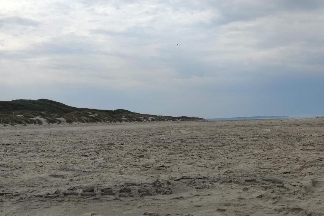 Photo of Others in Rødhus