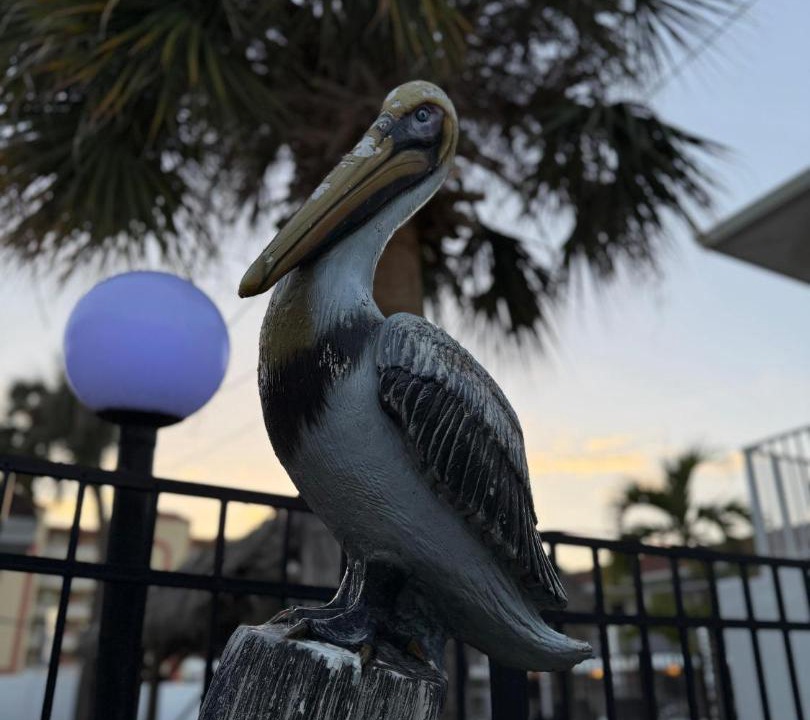 Photo of Others in Madeira Beach