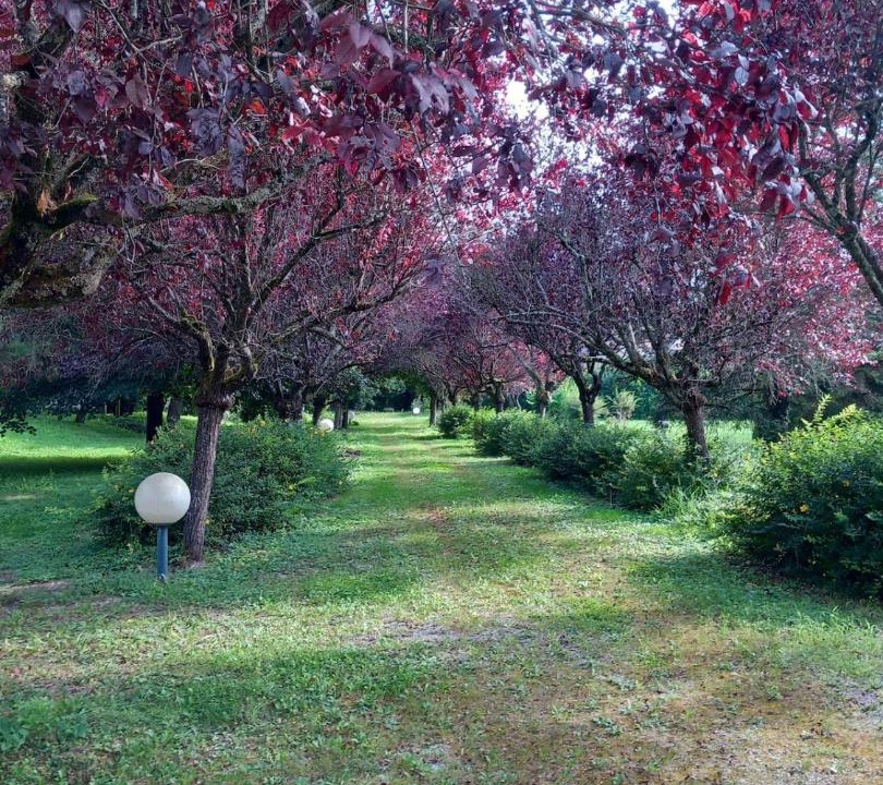 Photo of Outdoor in Marmagne